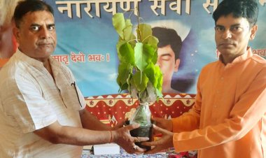 ' श्री हरि नारायण सेवा संस्थान-मुंबई ' द्वारा माधव भारत वृद्धाश्रय, पालघर में अनगिनत पीपल के पौधौं का रोपण.. 