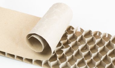 गोदरेज अप्लायंसेज ने पर्यावरण के अनुकूल पैकेजिंग को अपनाकर धरती के प्रति अपनी प्रतिबद्धता दोहराई....