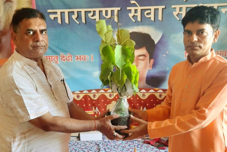 ' श्री हरि नारायण सेवा संस्थान-मुंबई ' द्वारा माधव भारत वृद्धाश्रय, पालघर में अनगिनत पीपल के पौधौं का रोपण.. 