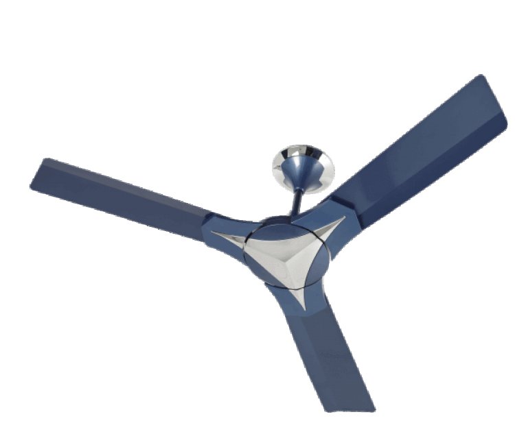 सूर्या रोशनी ने सीलिंग पंखों की नई रेंज लॉन्च की ...