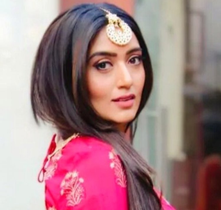 'बहुत प्यार करते हैं' शो के साथ शिरीन मिर्ज़ा ने टीवी पर दो साल बाद की वापसी !