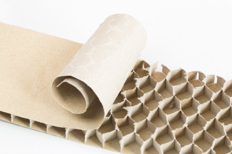 गोदरेज अप्लायंसेज ने पर्यावरण के अनुकूल पैकेजिंग को अपनाकर धरती के प्रति अपनी प्रतिबद्धता दोहराई....