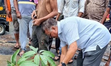 पूर्व नगरसेवक श्री कमलेश यादव ने दी मनपा अधिकारियों को चेतावनी : खड्डों में आज वृक्षारोपण किया है, अब करेंगे घेराव !