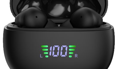 ट्रूक ने बड्स प्रो एएनसी ईयरबड्स लॉन्च किए