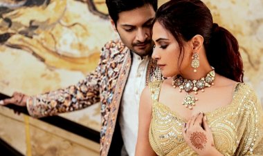 Richa Chadha and Ali Fazal look regal as they host their Delhi cocktail and reception ...