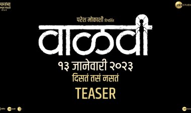 १३ जानेवारीला प्रदर्शित होणार 'वाळवी'