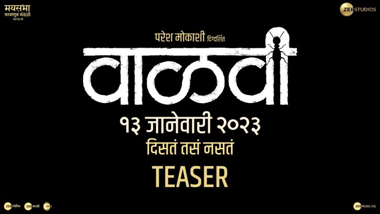 १३ जानेवारीला प्रदर्शित होणार 'वाळवी'