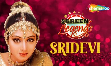 Shemaroo's Tribute to Sridevi : Celebrating the Iconic Actress's 60th Birthday...