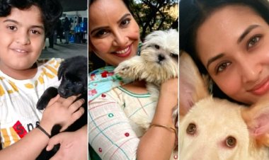 &TV  एक्टर्स के ‘पाॅ-एडोरेबल‘ पालतू पपीज़ जिन पर छिड़कते हैं वो जान !