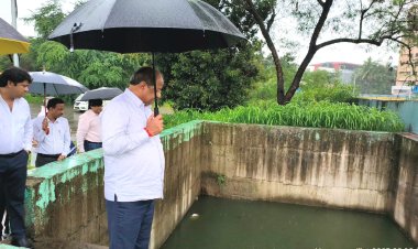 संजय गांधी नेशनल पार्क की  नदी में गणेश मूर्ति विसर्जन का मामला :  सांसद गोपाल शेट्टी की वन संरक्षक संग बैठक 