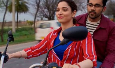 Babli Bouncer का पूरा हुआ साल तो तमन्ना भाटिया ने मनाया जश्न !