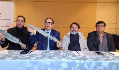 शाहजहांपुर के निगोही में मिला ताम्रयुगीन सभ्यता के तांबे के प्राचीन हथियारों का जखीरा !