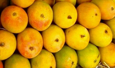 कविता : आम ....