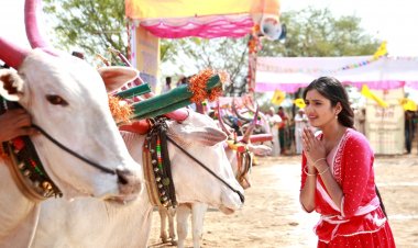 Star Pravah : पुजा बिरारीने 'येड लागलं प्रेमाचं' मालिकेच्या निमित्ताने पहिल्यांदाच बैलगाडा शर्यतीत घेतला भाग