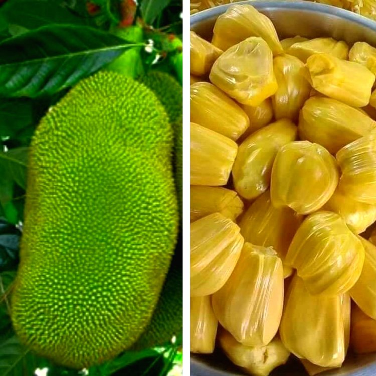 कविता : कटहल