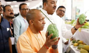CM Yogi Adityanath लखनऊ में "उत्तर प्रदेश आम महोत्सव - 2024" के शुभारंभ आयोजन में पहुंचे