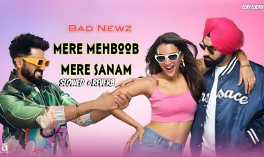 "मेरे महबूब मेरे सनम" में त्रिप्ती डिमरी की विक्की कौशल और एमी विर्क के साथ  शानदार केमिस्ट्री