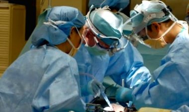 मॉरिशस से लाए गए हृदय रोग पीड़ित नवजात बच्चों को नवी मुंबई में मिला जीवनदान