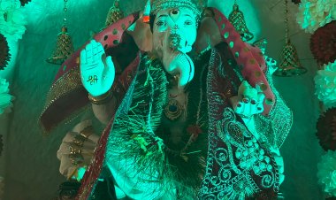 मीरा रोड में घरेलू गणेशोत्सवों की श्रृंखला में गोल्डन फ्लिश का गणेशोत्सव है बेहद आकर्षक !