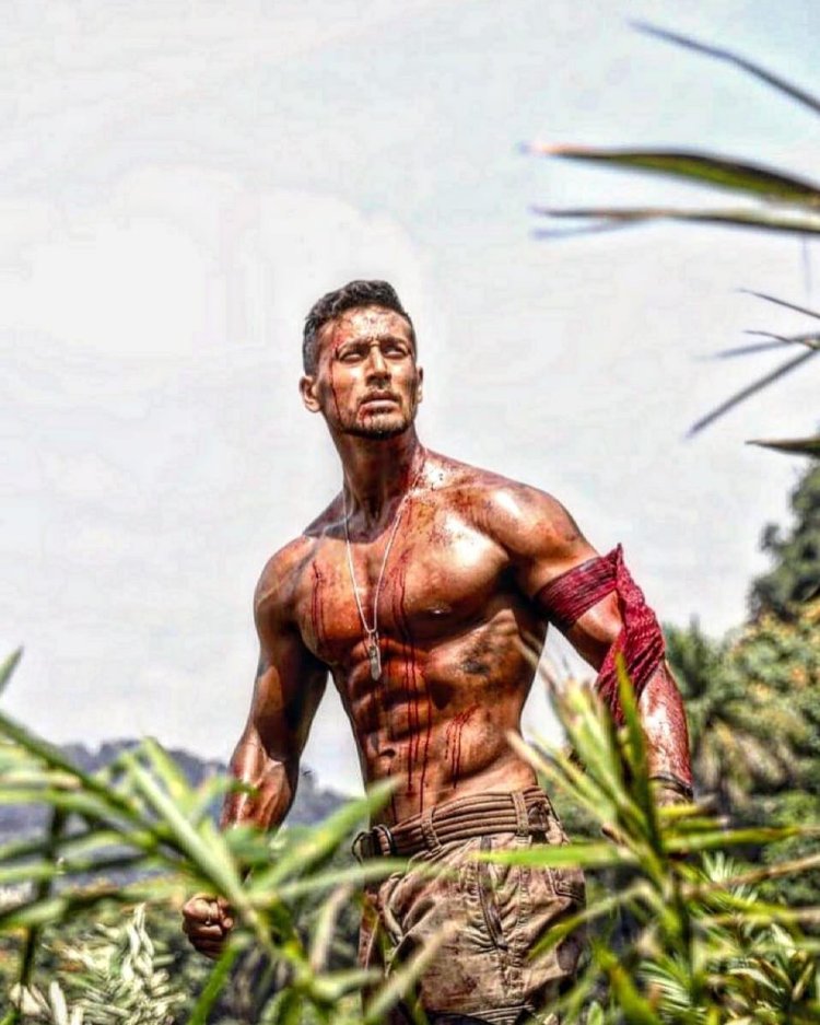  'बागी 2' के पूरे हुए सात साल : टाइगर श्रॉफ ने फैन्स के लिए साझा किया ये खास संदेश !