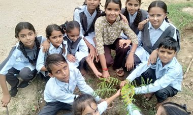हरियालो राजस्थान मुहिम अंतर्गत सिरोही के पाड़ीव में विद्यार्थियों ने किया पौधारोपण