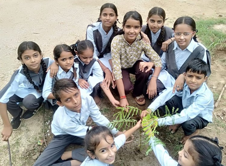 हरियालो राजस्थान मुहिम अंतर्गत सिरोही के पाड़ीव में विद्यार्थियों ने किया पौधारोपण